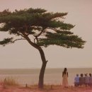 빨래대장 이미지