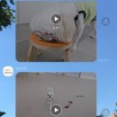 에브리댕 이미지