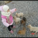 무주산방 이미지