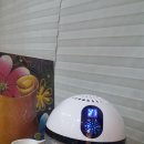 라라펫살롱 네이버블로그