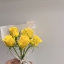 현대꽃집 티스토리