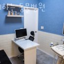 함께하는동물병원 이미지