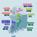 타요펫 모빌리티 이미지