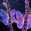 인토피아 이미지