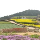 시골풍경 이미지