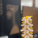 화이팅정형외과의원 이미지