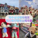 곰완구전시관 (테디베어뮤지엄) | 제주 볼거리 실내테마파크 추천! 테디베어하우스 테지움 방문 후기🧸