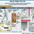 아르디 이미지