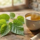 DNJ | 뽕잎차 효능 - 식후 혈당 낮추는 6가지 이유 (3개월 직접 측정 후기)