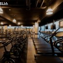 이루다피트니스 이미지