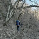 소림길 Daum카페