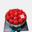 투썸플레이스 티스토리