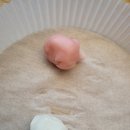 별꽃시루 이미지
