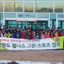 그린웰니스