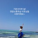 에스케이엘이씨