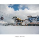 비발디파크 스키월드 | 비발디파크 스키월드, 주야 가능, 어린이 동반 가능