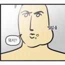 최루백로 이미지