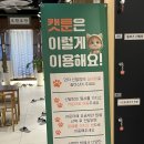 김밥천국 석계점 | 석계 실내데이트 코스 만화카페 <캣툰 석계역점> 내돈내산 후기