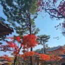 인계동 562 이미지