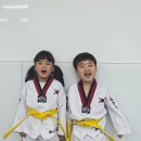 용인대 정무태권도장 이미지