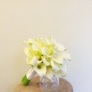 크로비스 이미지