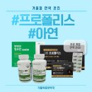 가톨릭중앙약국 네이버블로그