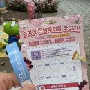 메가엠지씨커피다산DIMC테라 | 다산 뽀로로파크 주차·쿠킹클래스·공연 꿀팁 정리(주차시간 꿀팁)