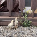 무럭무럭(주) 이미지