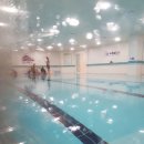 키즈웨일즈 이미지