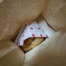 레드애플 하남미사역점 이미지