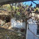 새천년로 이미지