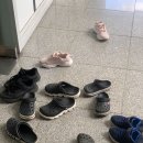 이유신피아노학원 이미지