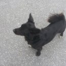 애니카랜드 쌍용점 이미지