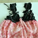 [for love & lemons] 포러브앤레몬 Skye Mini Dress 스카이 미니 드레스 핑크 후기