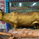 적성축산 이미지