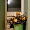 바오밥나무 민박 이미지