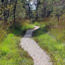 인간존재를 위하여 이미지