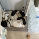 머뭉공간 이미지