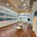 베리독 강아지고양이 평택본점 이미지