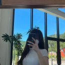 대전하프의원 이미지