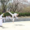 경희대박사 문무태권도장 이미지