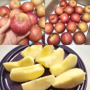 대로1-3 | 경북 고당도 사과 꿀사과 택배 뿌린대로 농장 가정용 3kg 후기