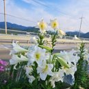 백천주유소 네이버블로그