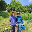 노을이슬 이미지