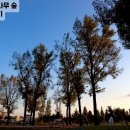 증평군노인복지관 이미지