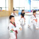 용인대블루드래곤태권도 이미지