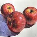 수성고등학교 이미지