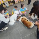 하나어린이집 | 🌟 별하나 어린이집 무료체험교육 후기 🌟