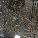 남원정통추어탕 이미지