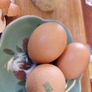 달마지복지센터 이미지